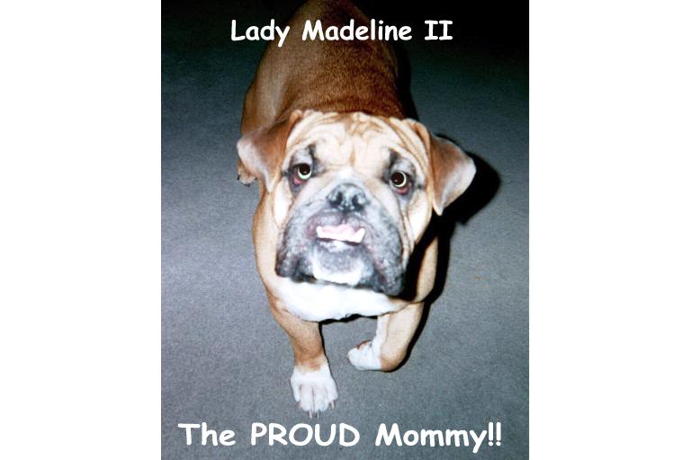 The PROUD Mommy!